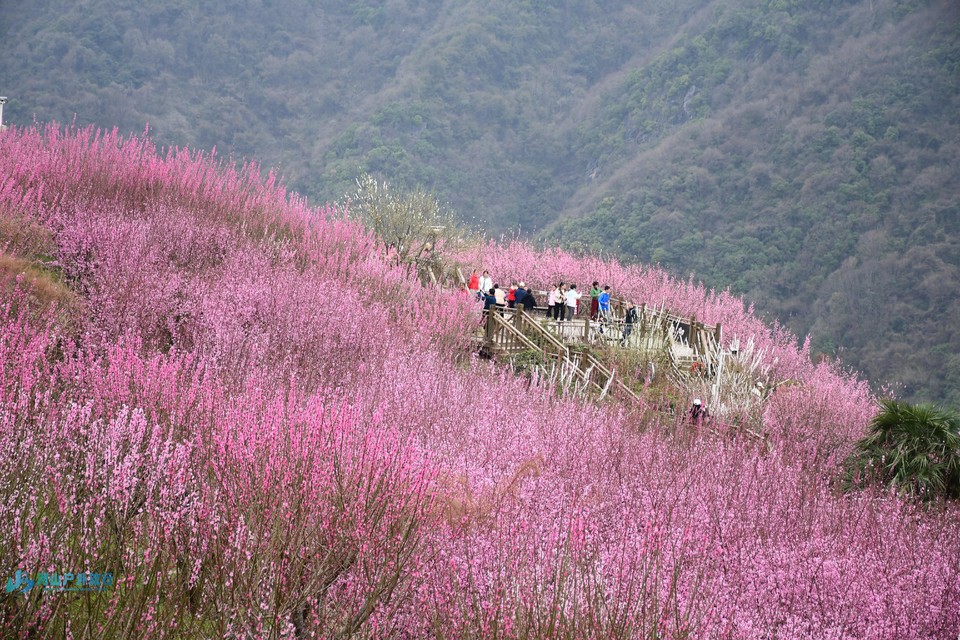 mmexport1710600603140