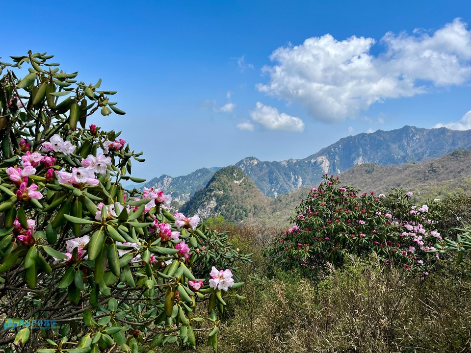 mmexport1714361375776