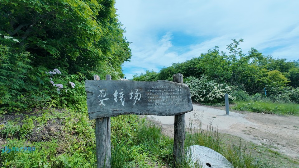 mmexport1718079999047