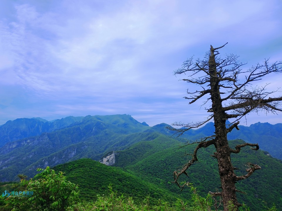 mmexport1717517517241