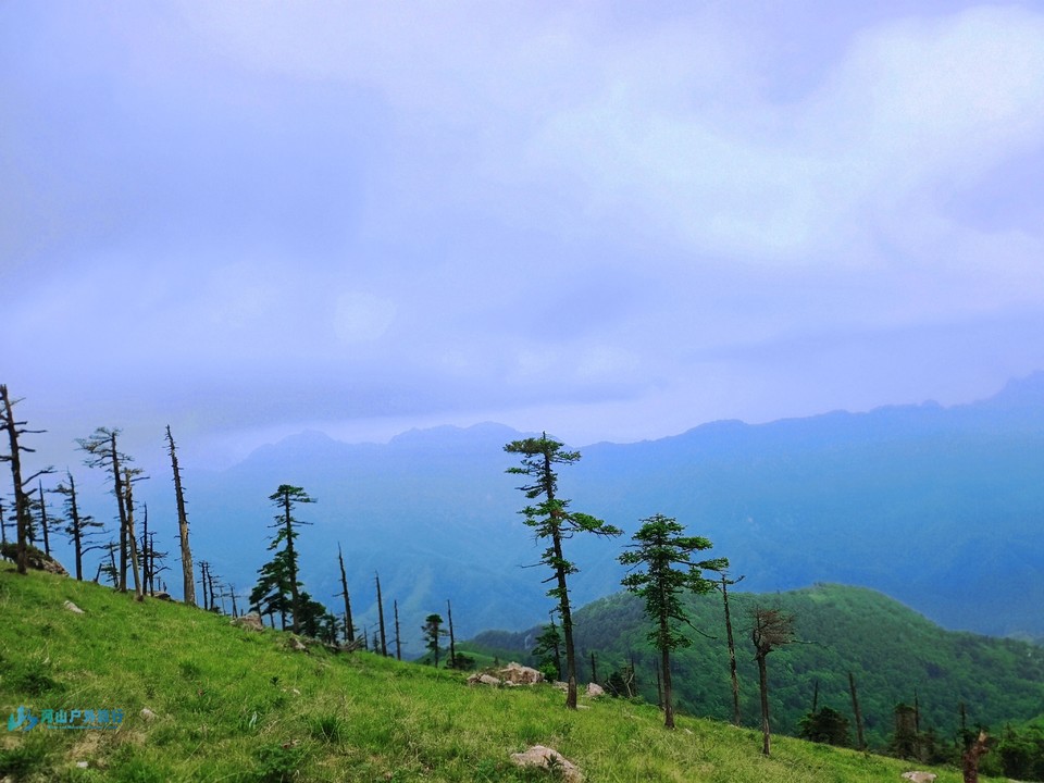 mmexport1717517556098