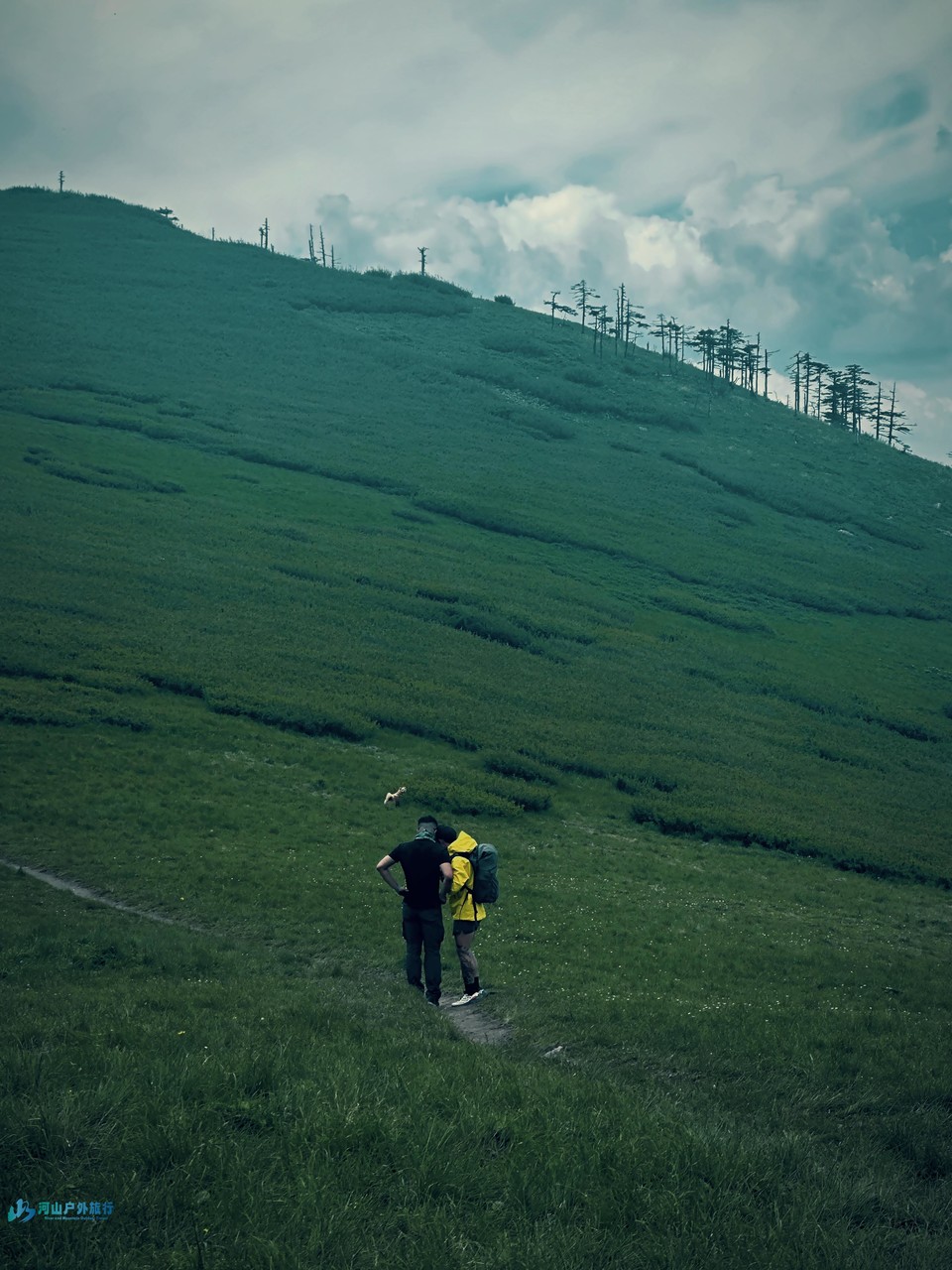 mmexport1718208248152