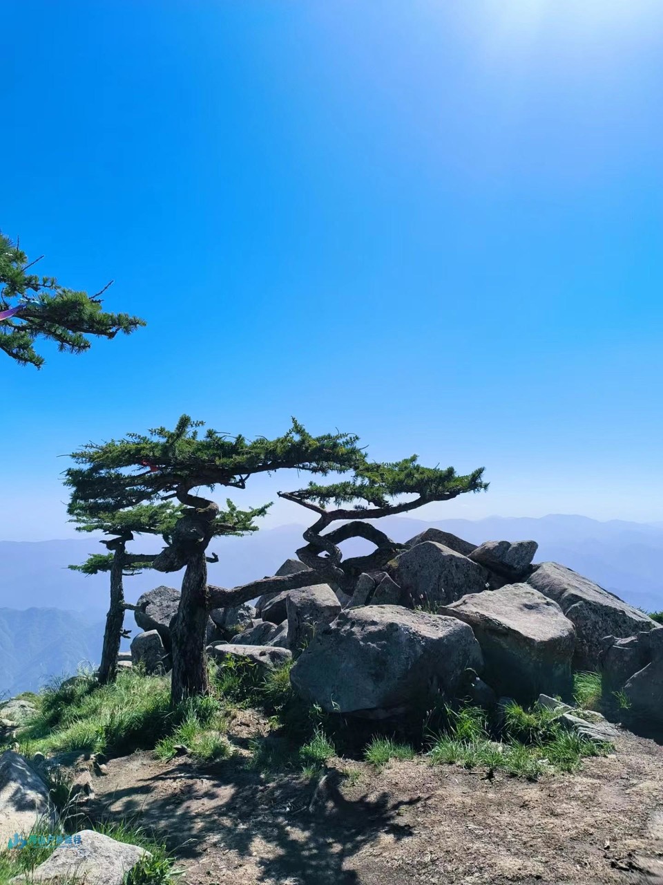 微信图片_20240403145101