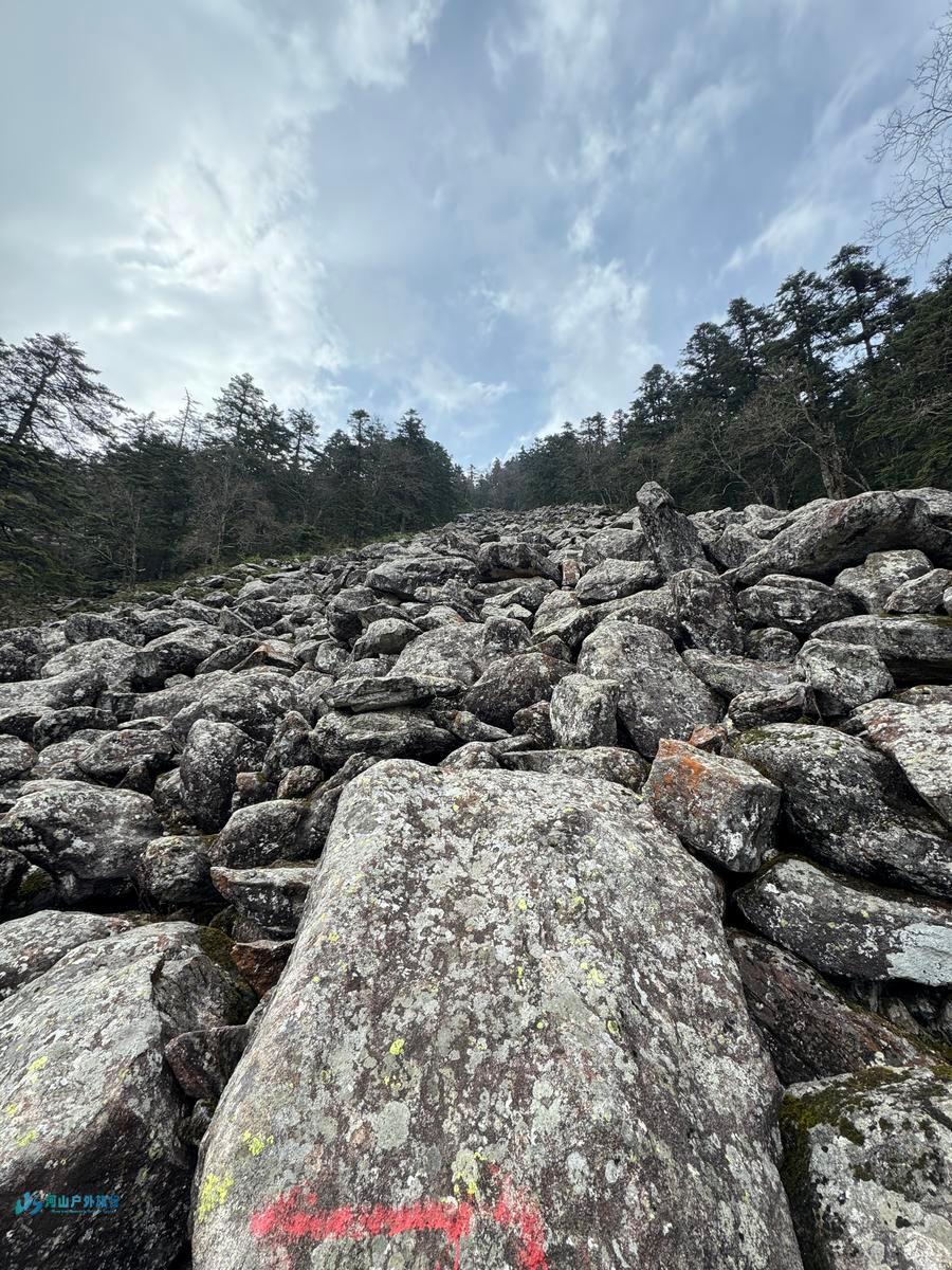 微信图片_20240517000133