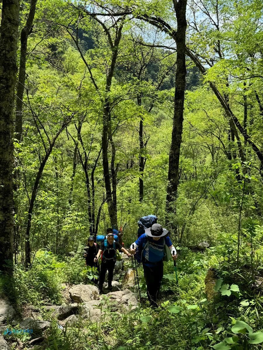 微信图片_20240517000239