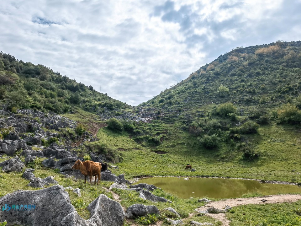 mmexport1714689186769