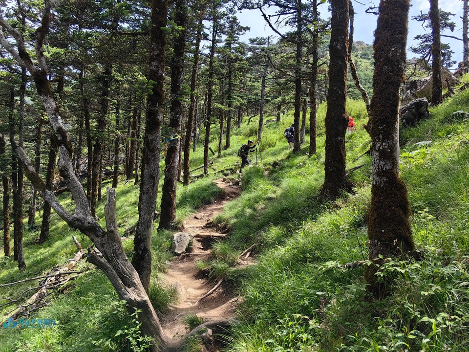 微信图片_20240616224317