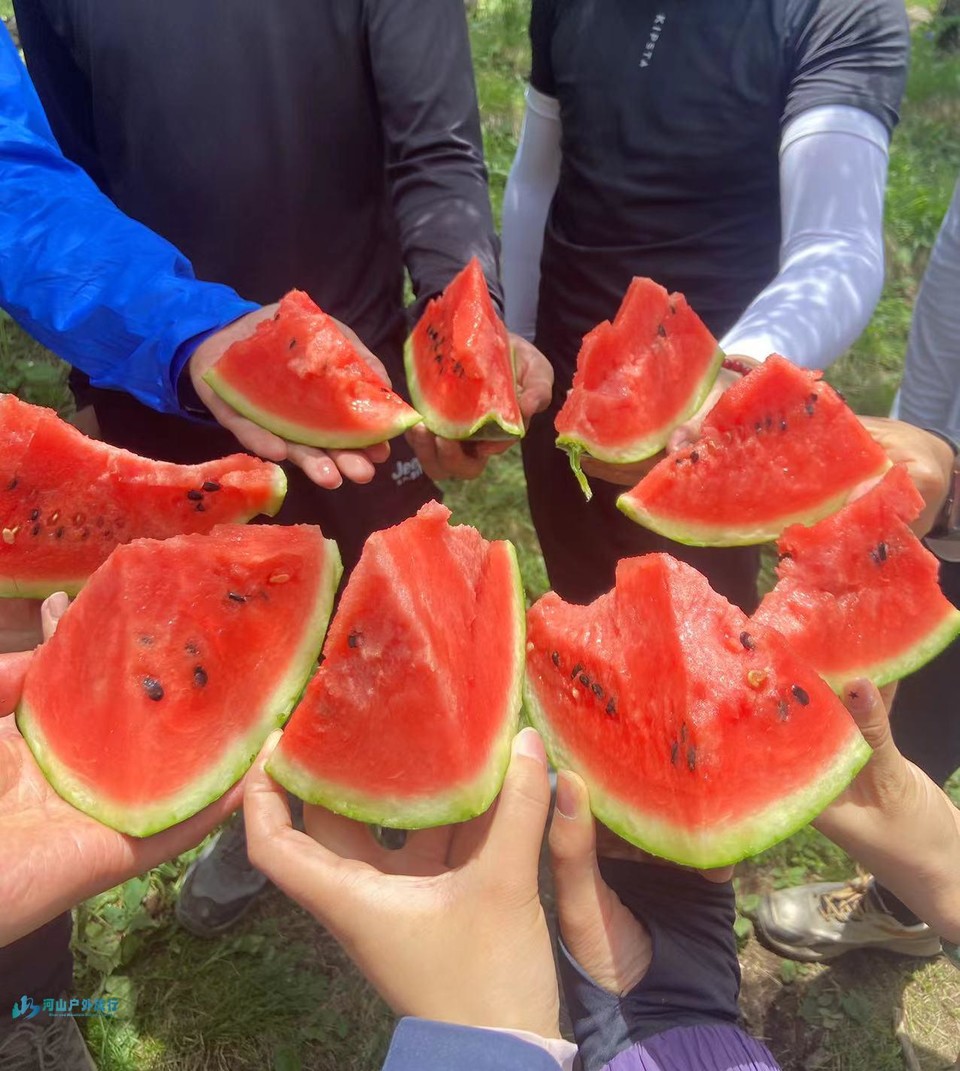 微信图片_20240616224900