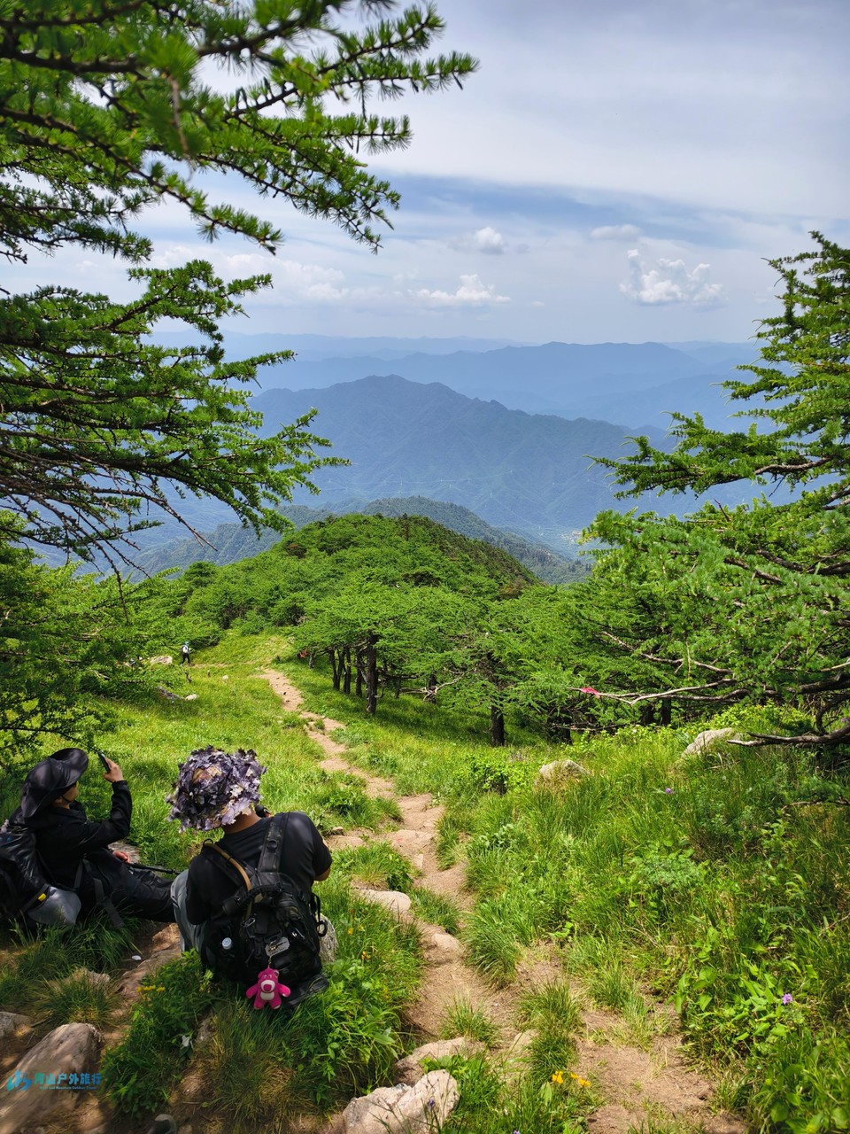 微信图片_20240616224959