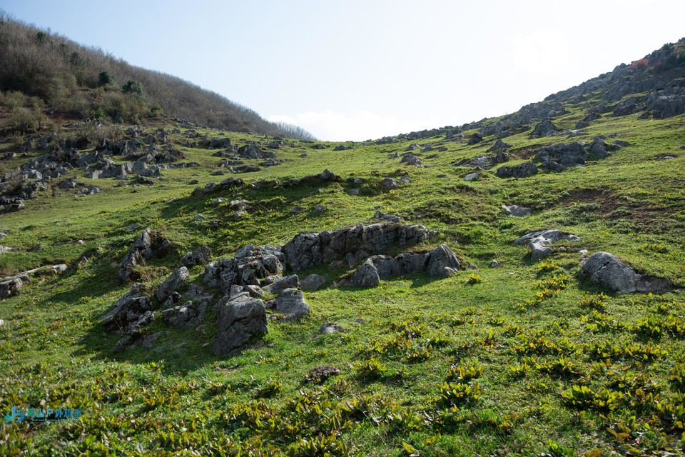 mmexport1713187706889