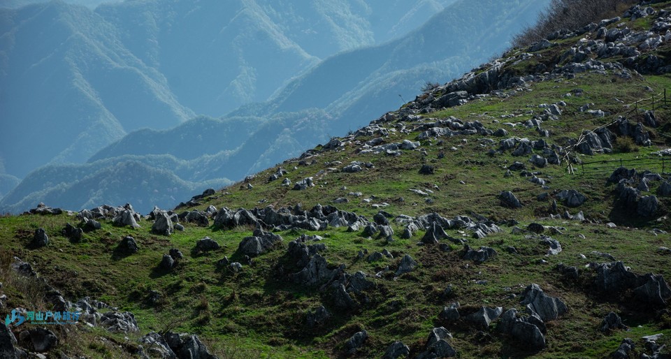 mmexport1713187756068