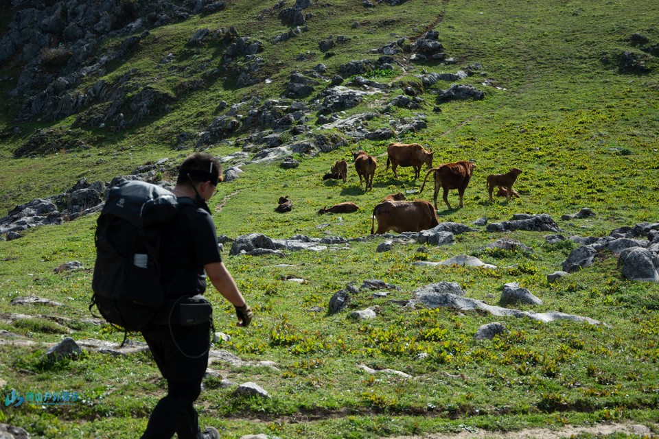 mmexport1713187840874