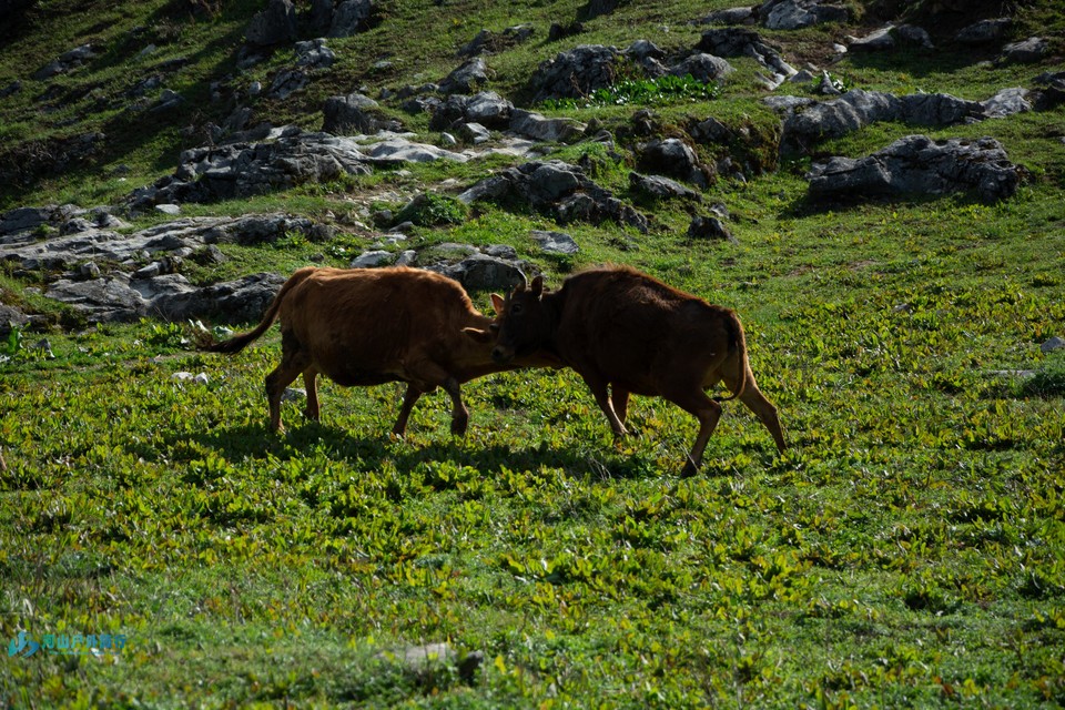 mmexport1713187876079