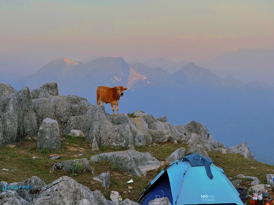 mmexport1718151177877