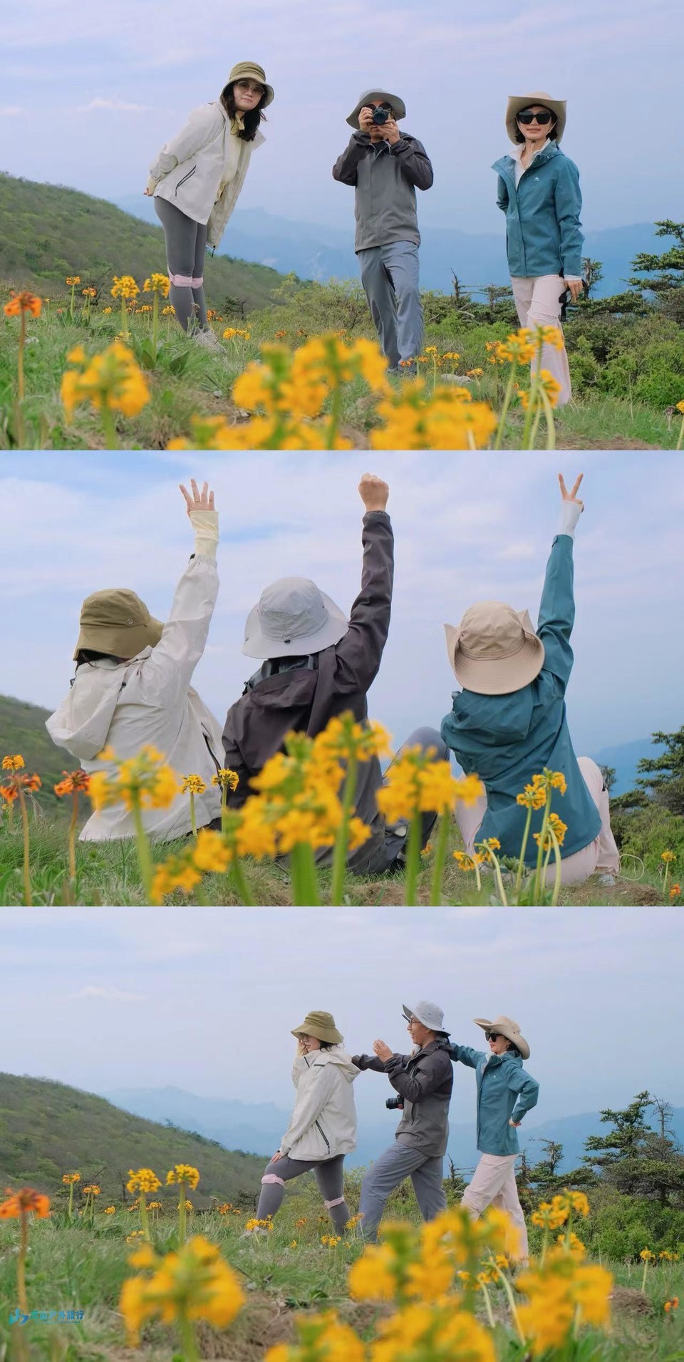 mmexport1717432888661