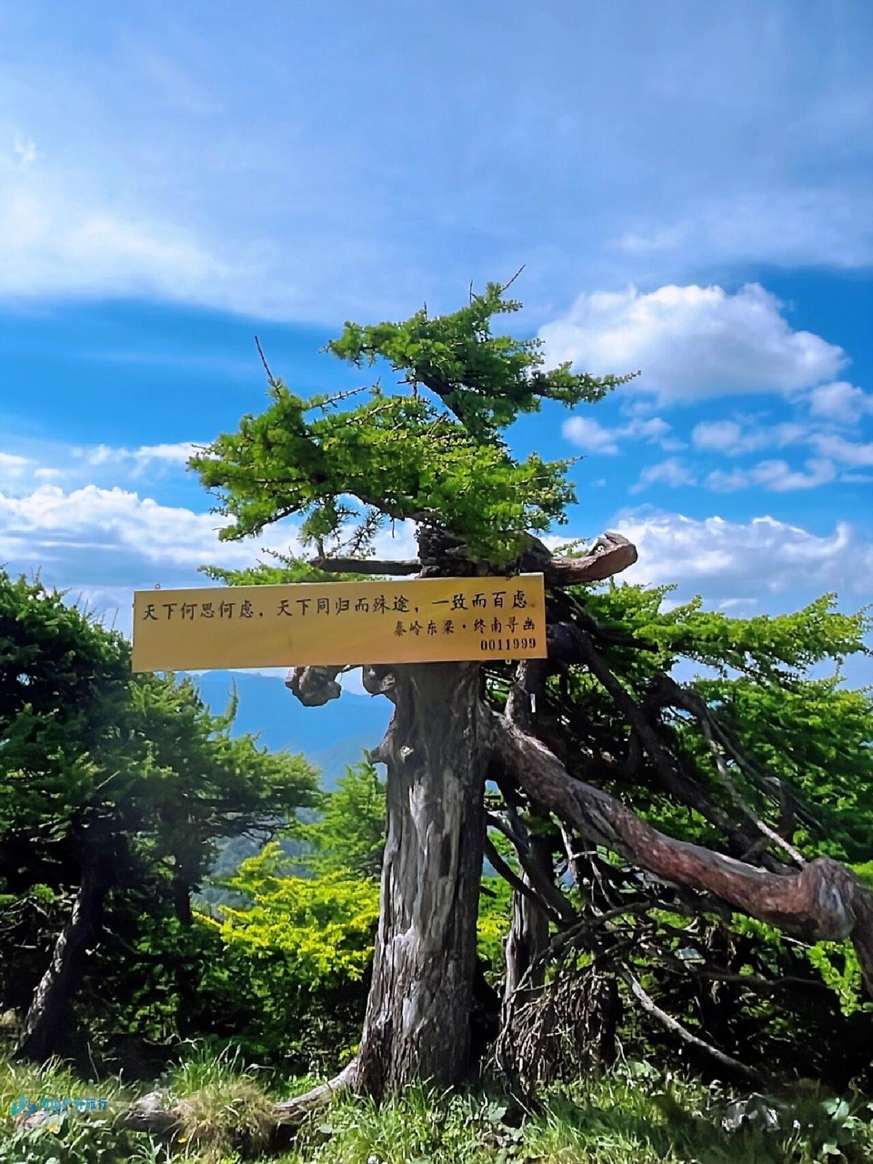 微信图片_20240323005038