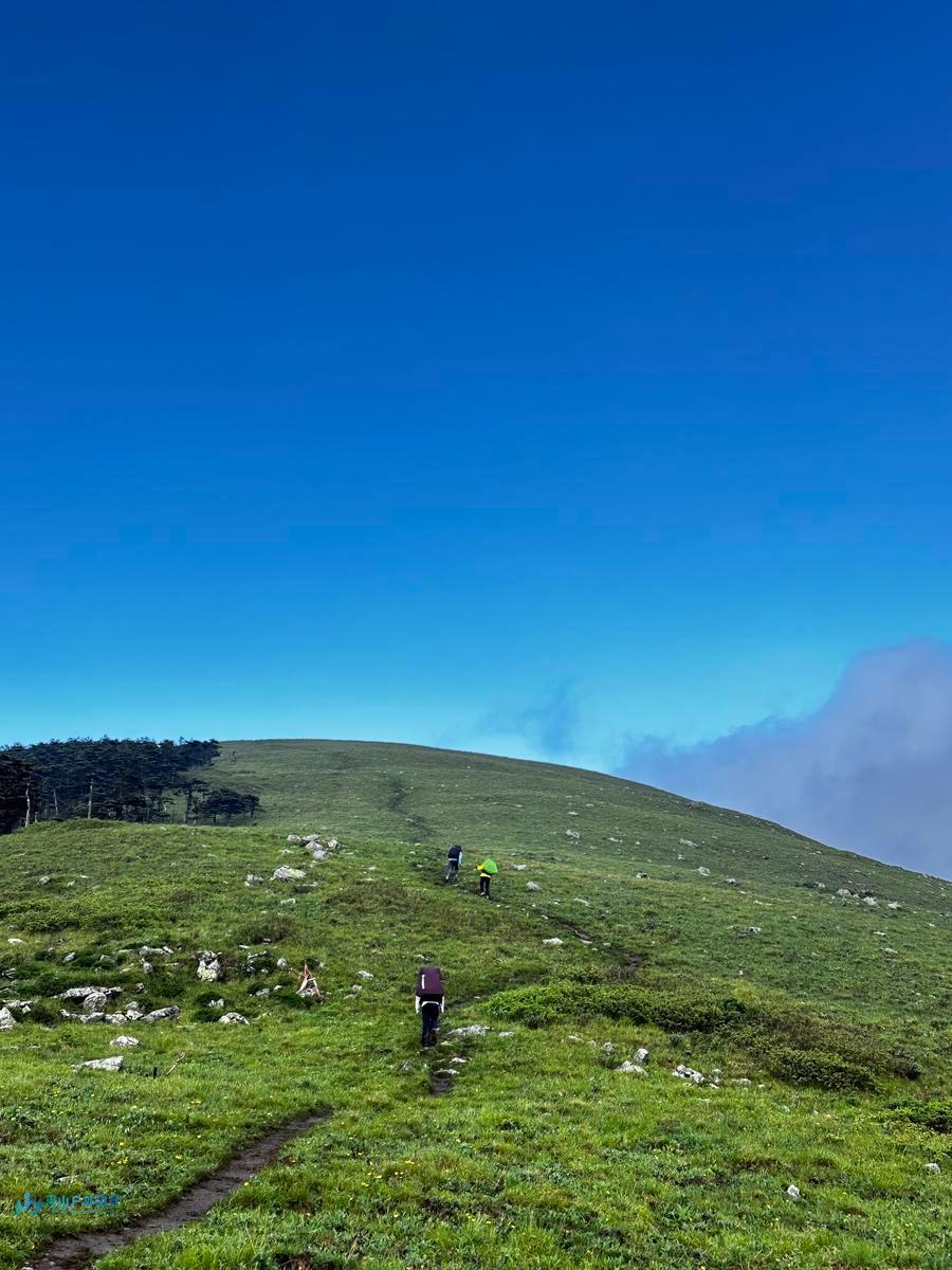 mmexport1716896084028