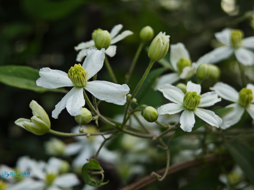 mmexport1714309257511