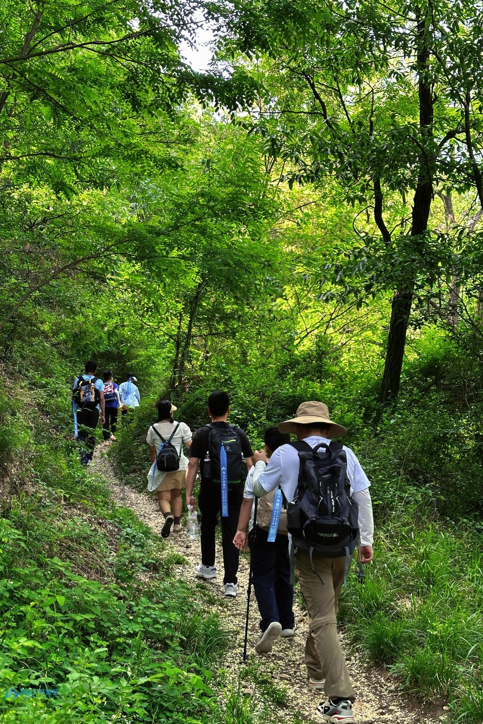 mmexport1714688451318