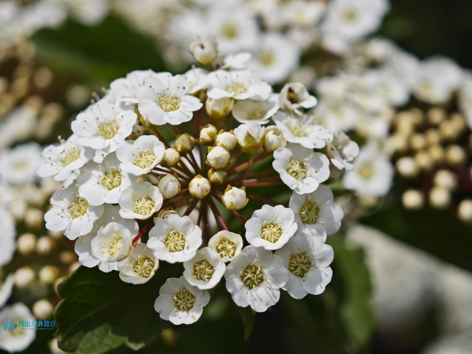 mmexport1714688493986