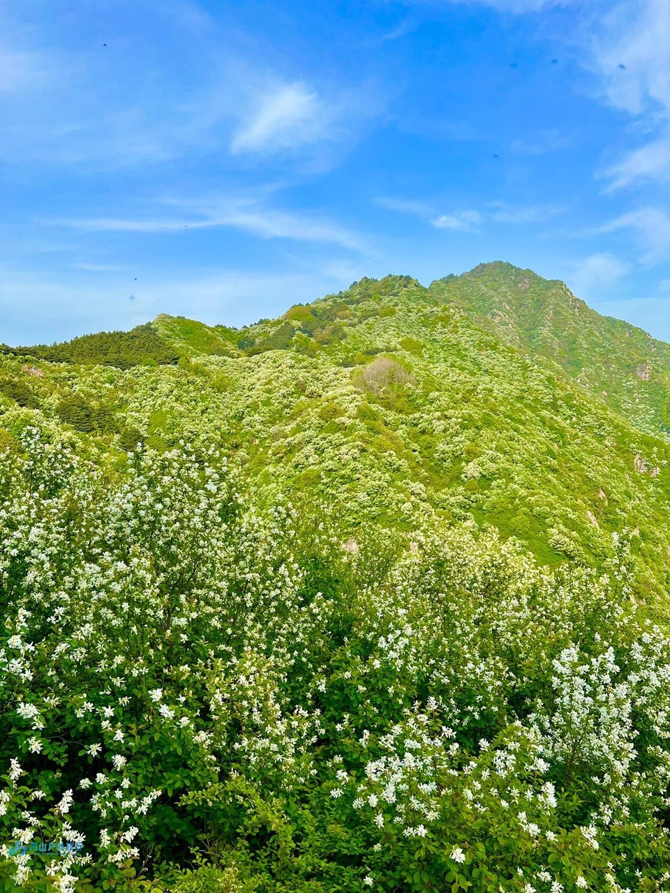 微信图片_20240323010442