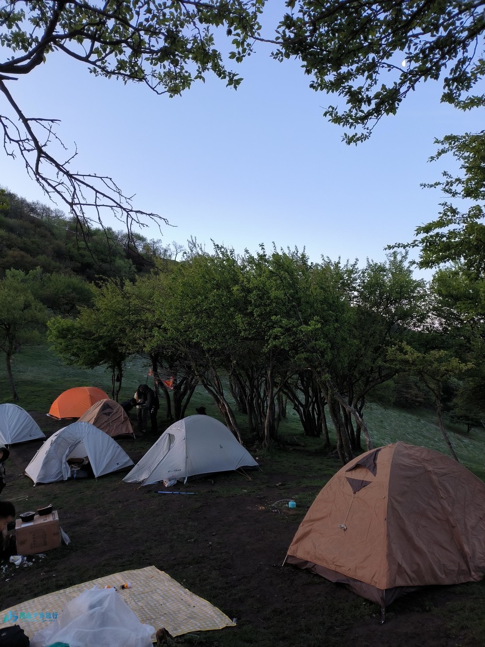 mmexport1714547337572