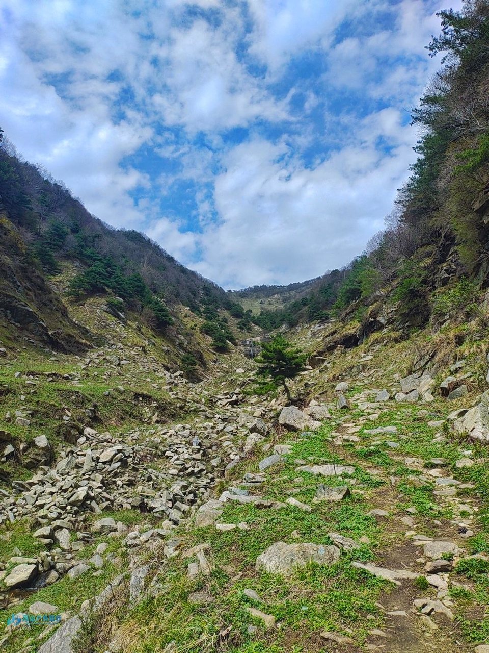 mmexport1713184912516