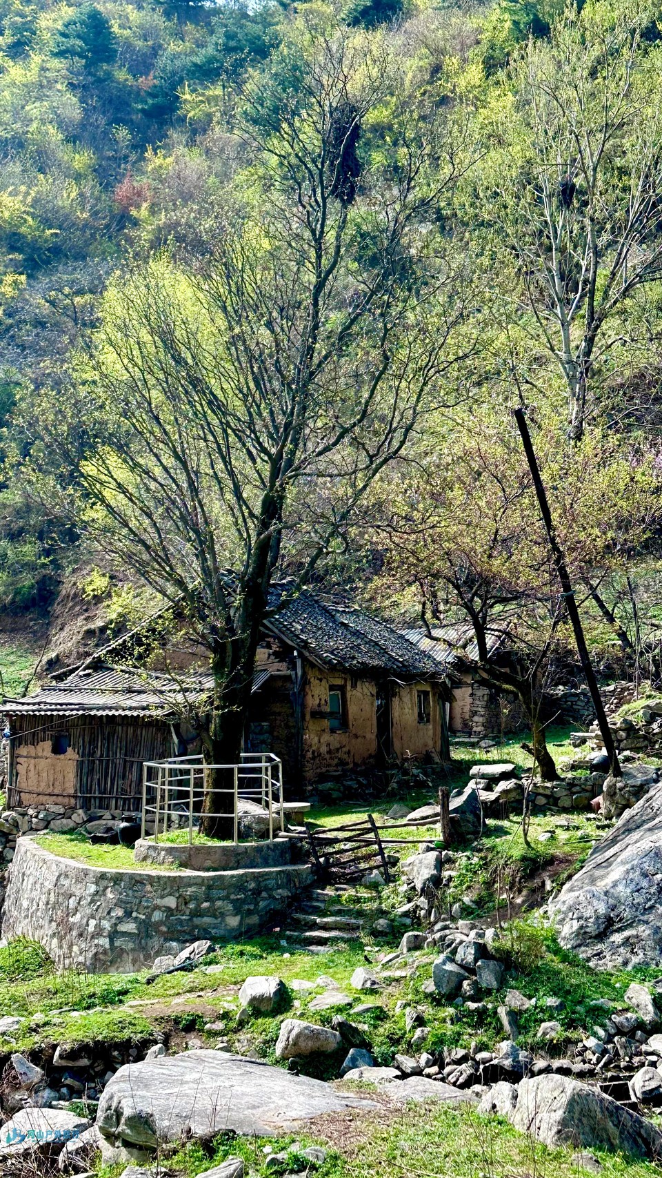 mmexport1713184931372