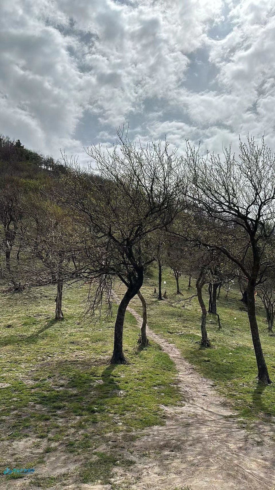 mmexport1713184965755