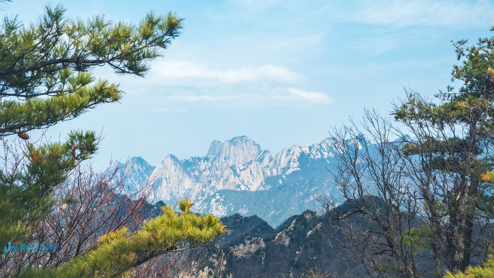 mmexport1713185054831