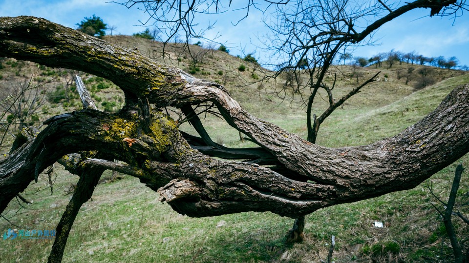 mmexport1713185065671