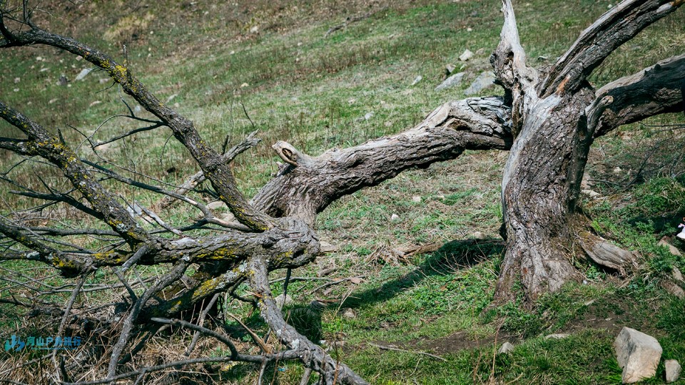 mmexport1713185073448