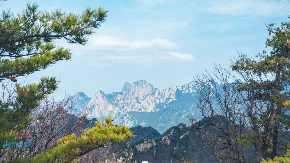 微信截图_20240419180951