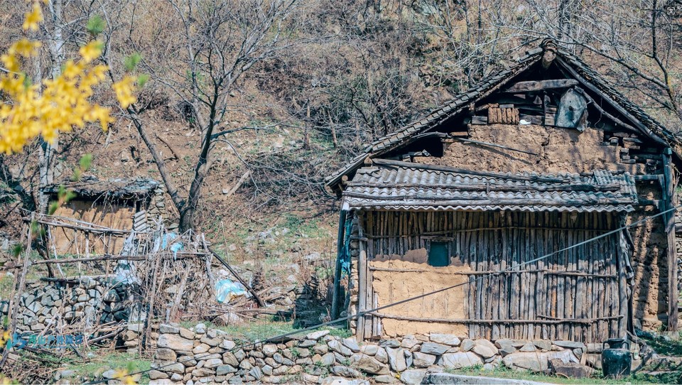 微信截图_20240419181036