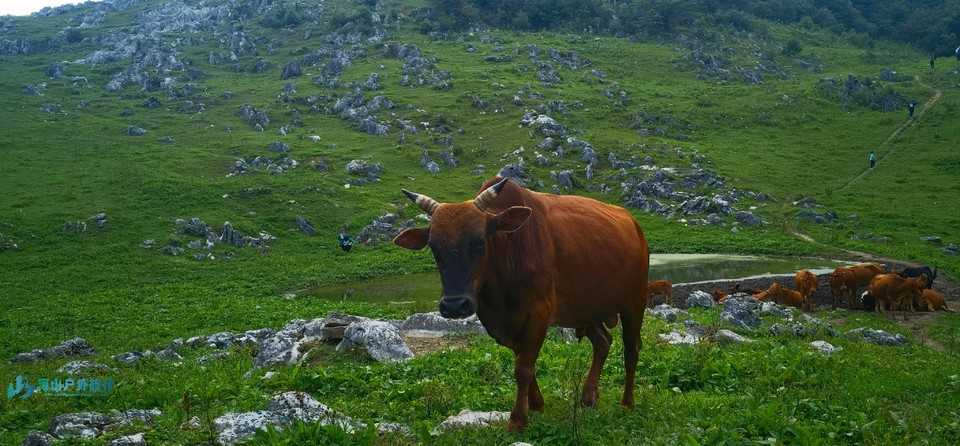 mmexport1723046100512