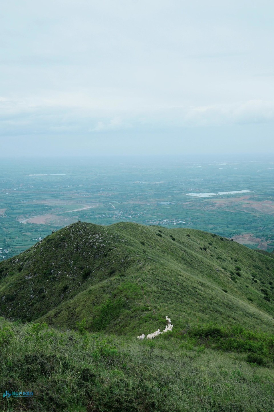 微信图片_20240509121856