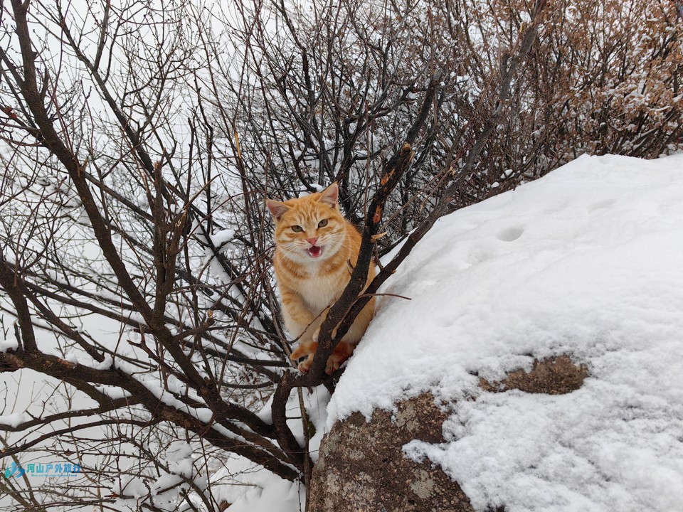 mmexport1707550058405