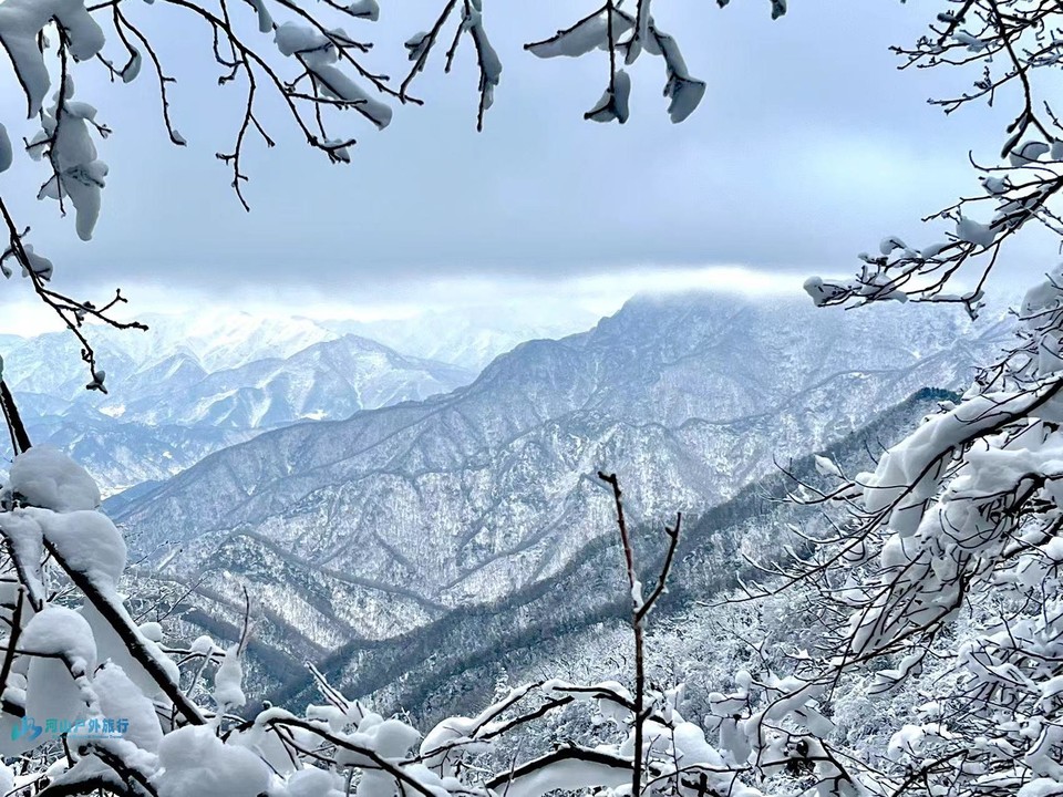 mmexport1702809695995