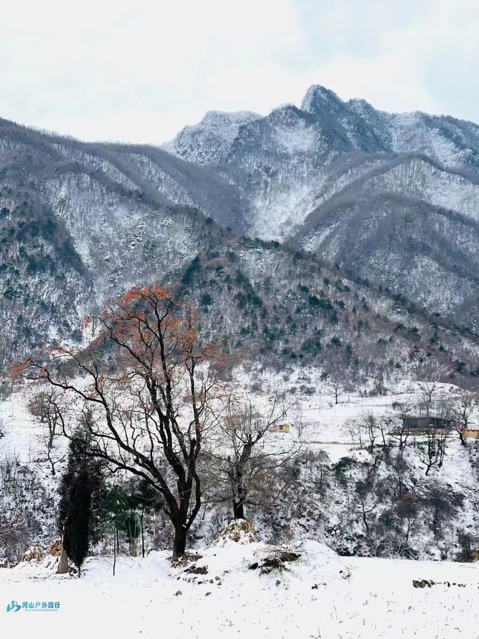 mmexport1702894556001