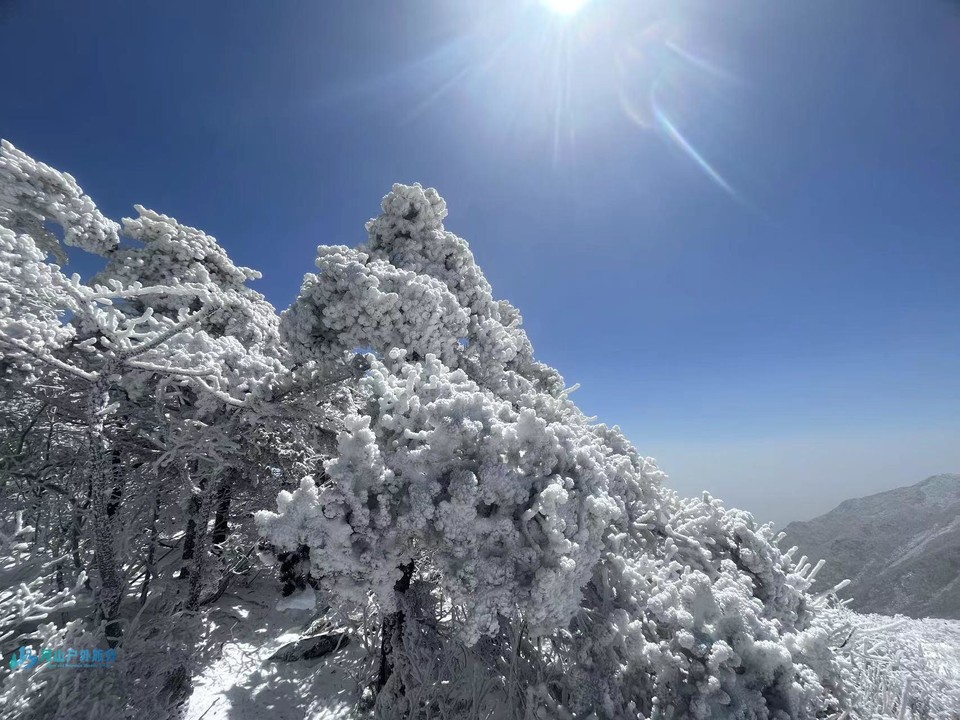 mmexport1702981276800