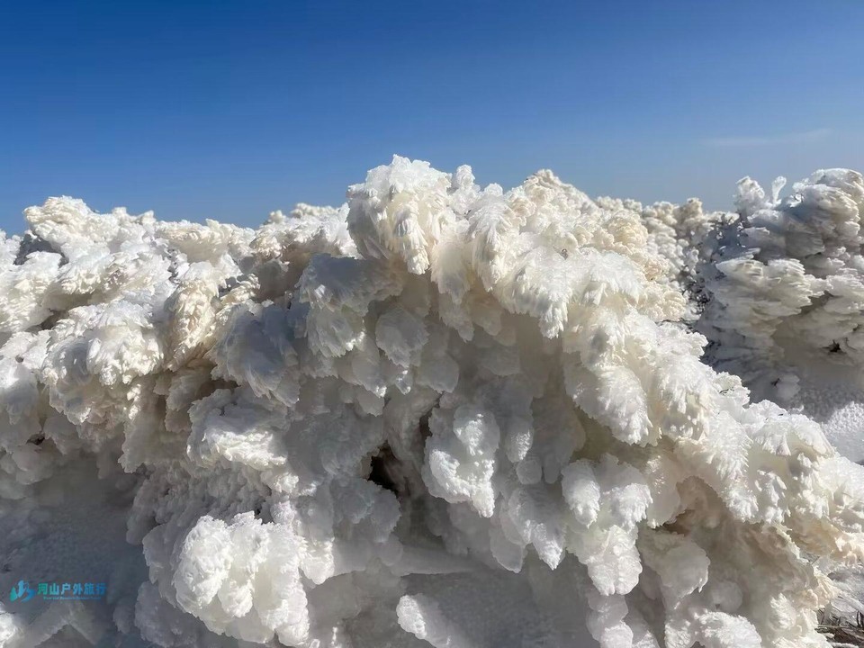 mmexport1702981405162