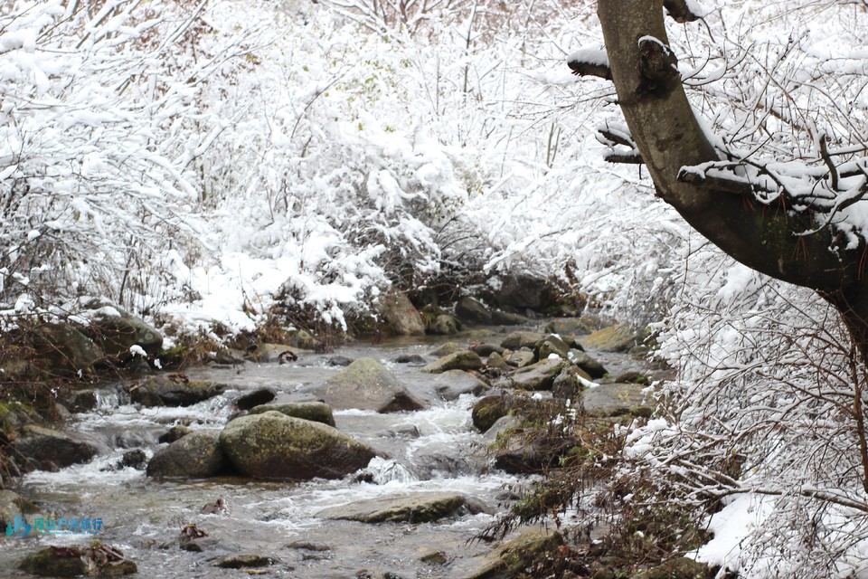 微信图片_20241120174529