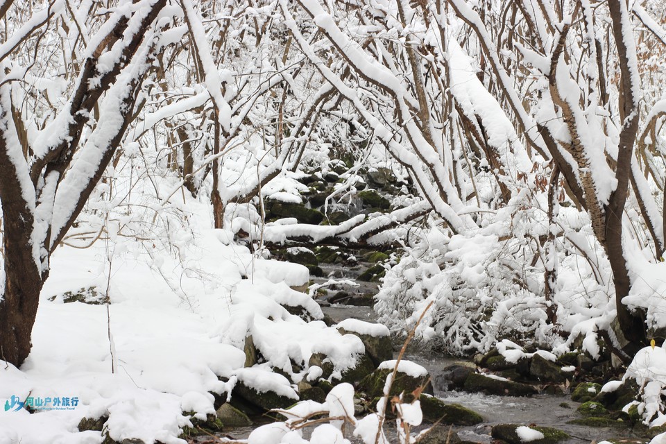 微信图片_20241120174656