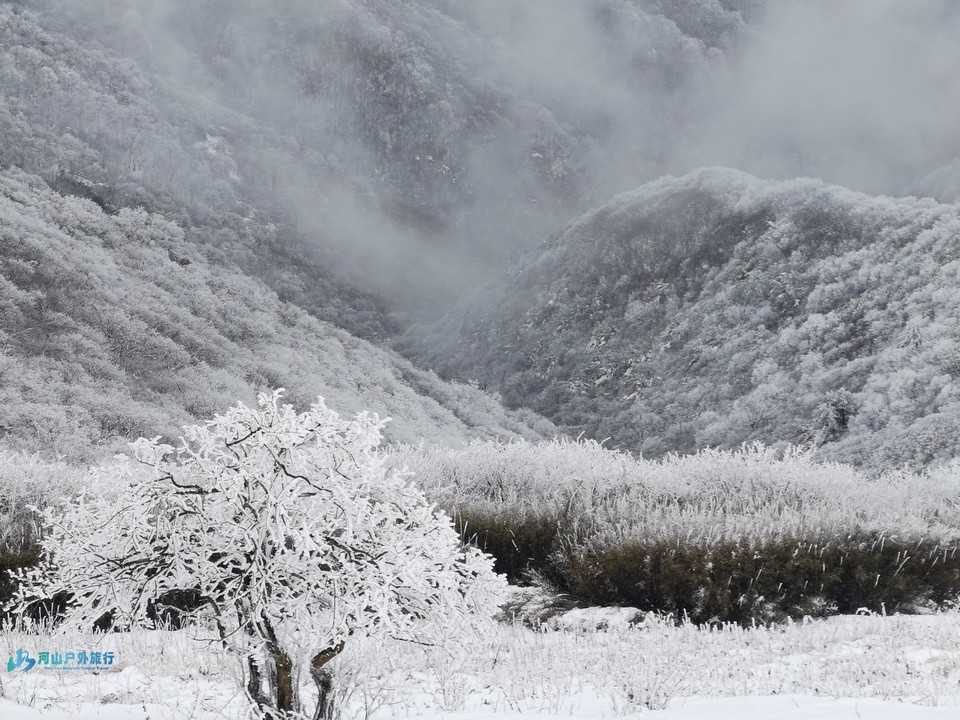 微信图片_20241120174755