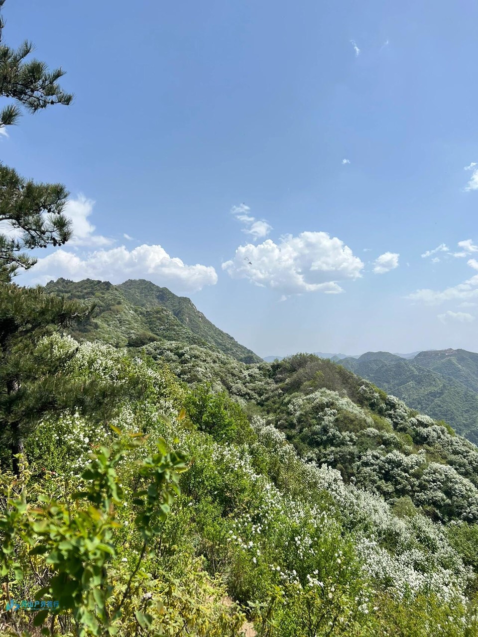 mmexport1712119222318