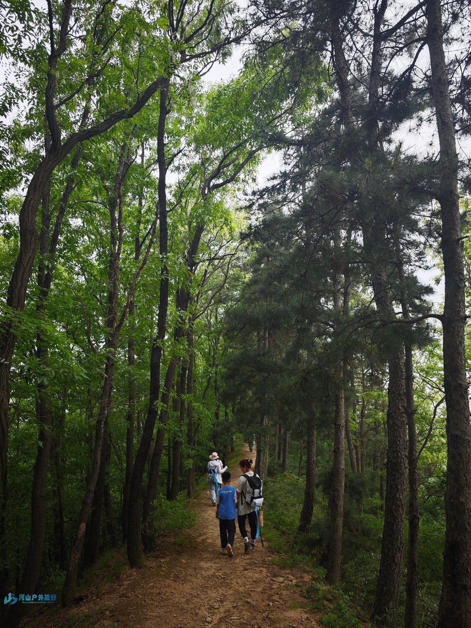 mmexport1714688480044