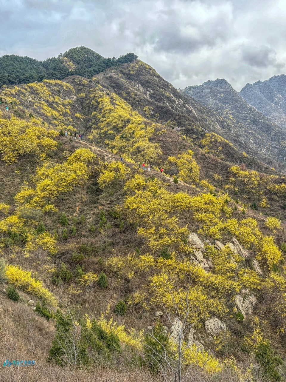 mmexport1712119224520