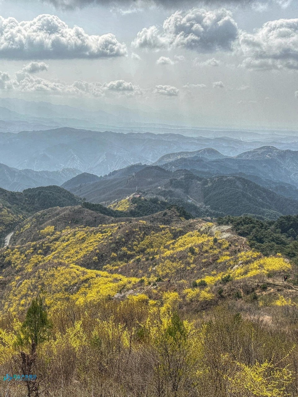 mmexport1712119226625