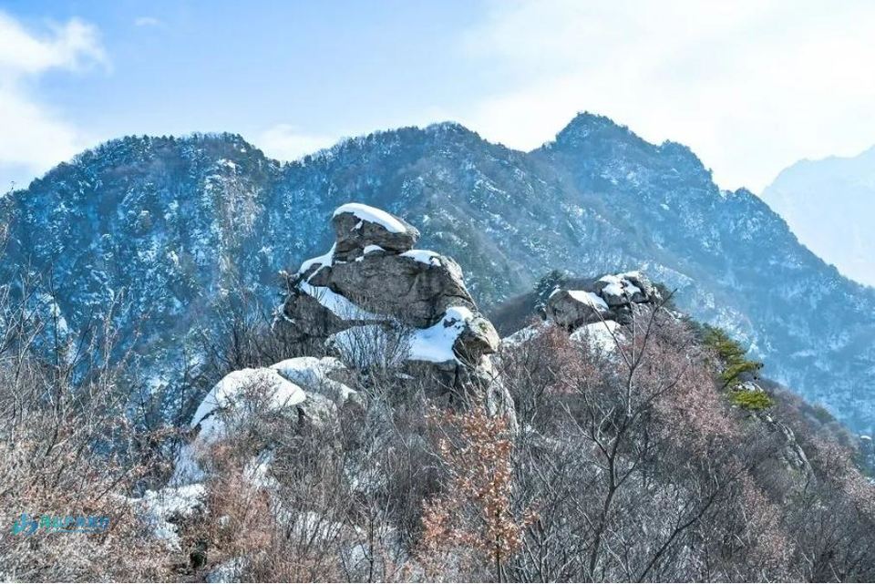 微信截图_20240315155248