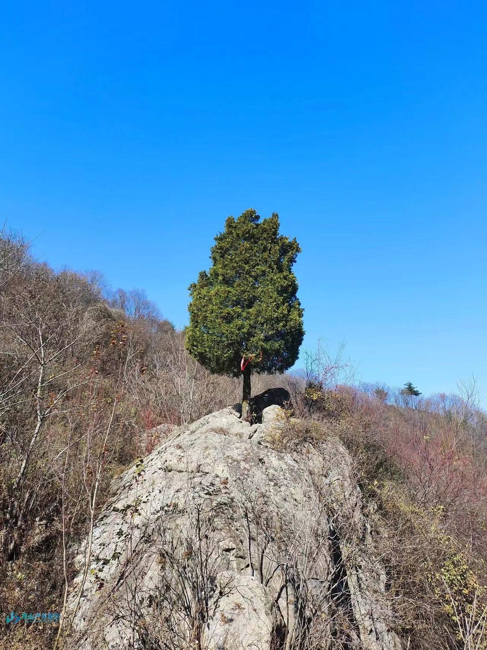 微信图片_20240415205858